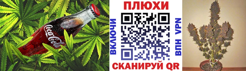 Canna-Cookies конопля  Лысково 