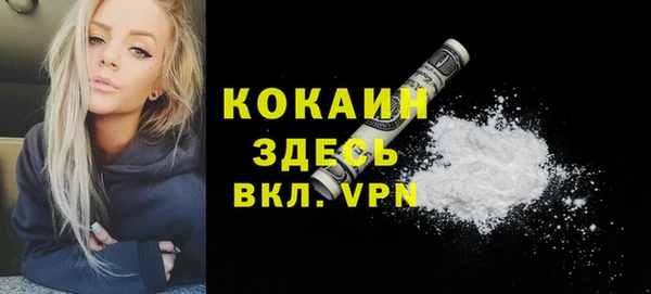 прущий лед Горняк