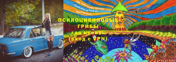 наркотики Горнозаводск