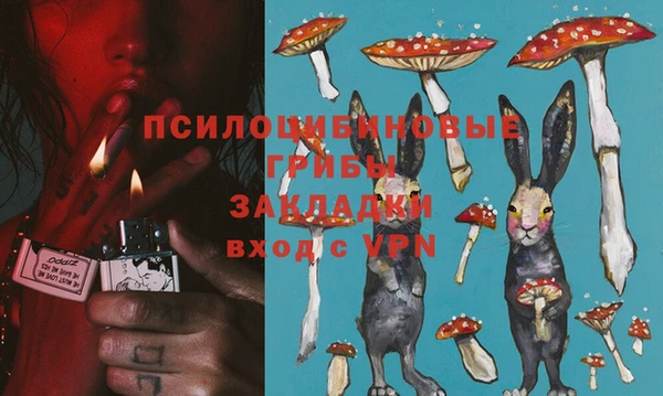прущий лед Горняк