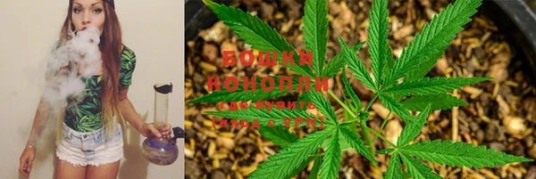 прущий лед Горняк